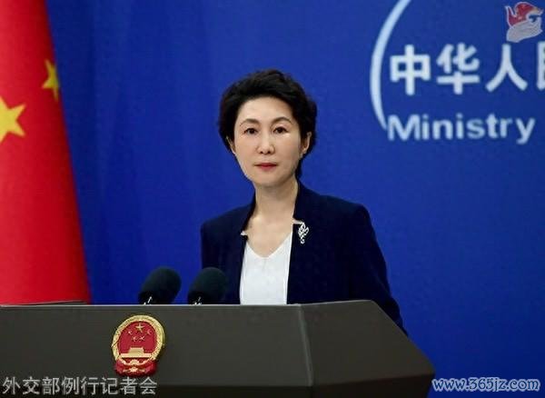 毛宁费力图。图源：酬酢部网站