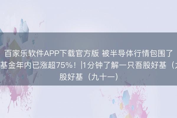 百家乐软件APP下载官方版 被半导体行情包围了？这只基金年内已涨超75%！|1分钟了解一只吾股好基（九十一）