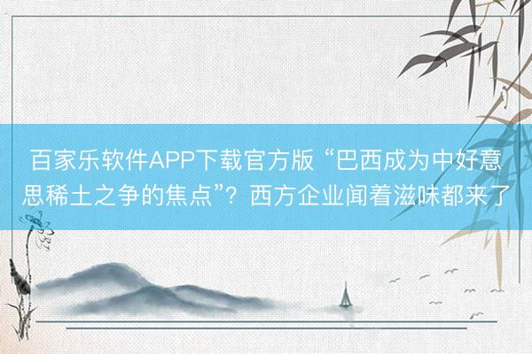 百家乐软件APP下载官方版 “巴西成为中好意思稀土之争的焦点”?西方企业闻着滋味都来了