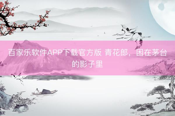 百家乐软件APP下载官方版 青花郎，困在茅台的影子里