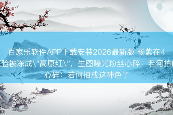 百家乐软件APP下载安装2026最新版 杨紫在4800米高原脸被冻成